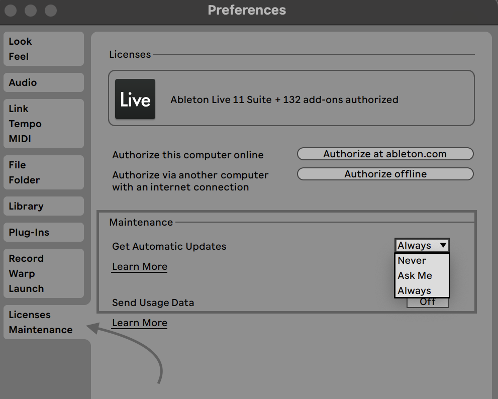 Automatic_Updates.png