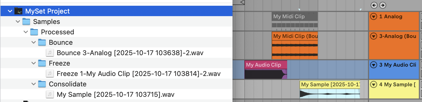In macOS finder, the Processed folder inside MySet Project folder contains Bounce, Freeze, and Consolidate folders.