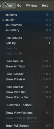 Show View Options.gif